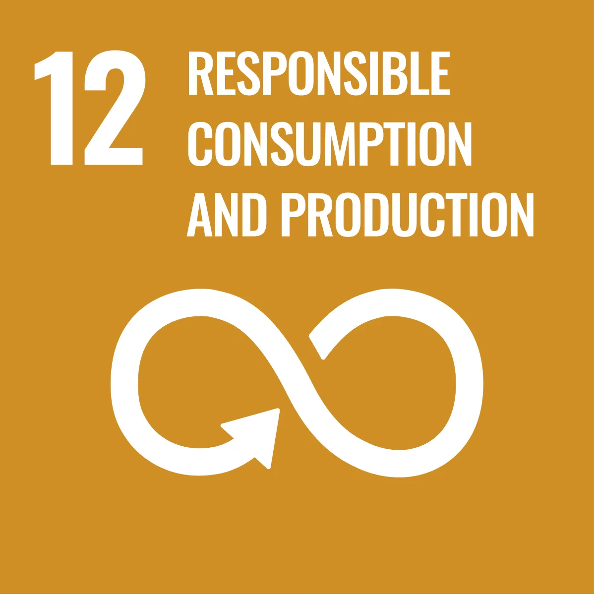 SDG 12 icon